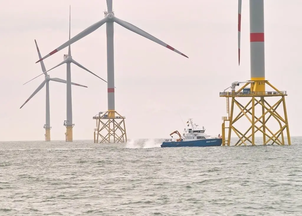 Two Palfinger systems of type PS15500M (PWS200) and PSM580 (PWS600) are used on the platforms of REpower wind turbines.