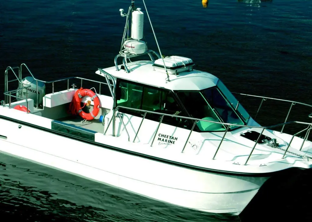 The Cheetah 9.9m