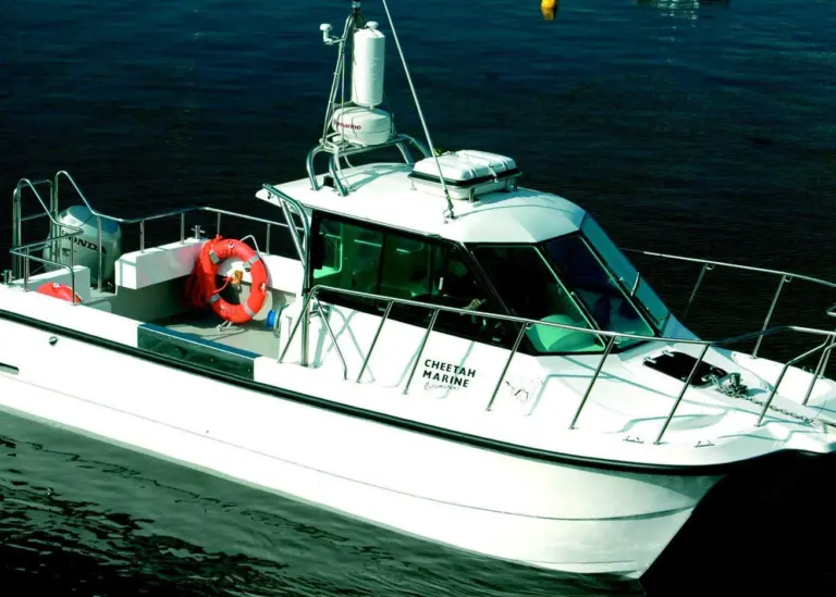 The Cheetah 9.9m