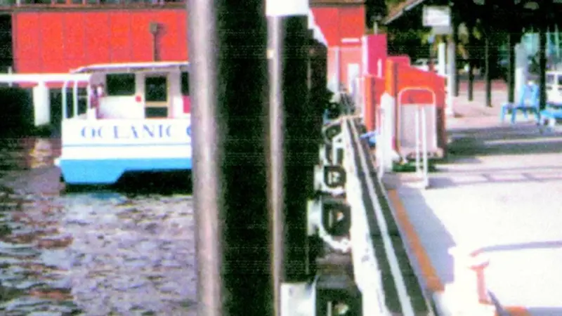 Plastic Pilings in place at the Barrak Square Ferry Terminal.