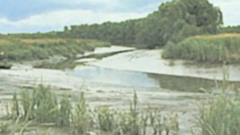 Sediments, an integral part of marine ecosystems, are defined as Main Pollutants under the Water Framework Directive.