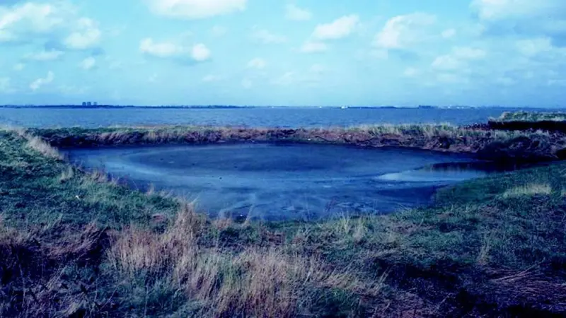 The Humber Estuarys mudflats and salt marshes are vital for the survival of migrating birds.