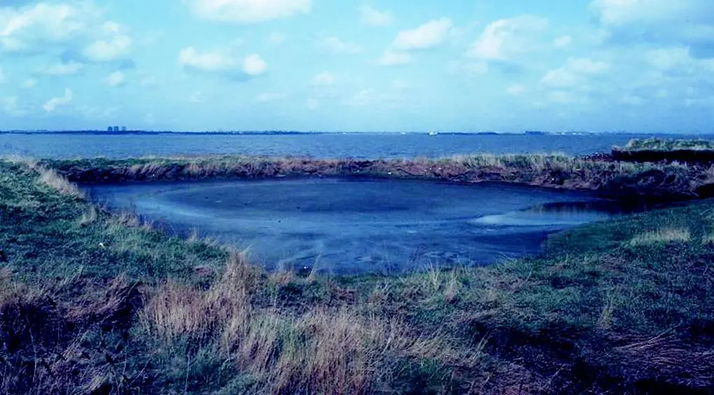 The Humber Estuarys mudflats and salt marshes are vital for the survival of migrating birds.