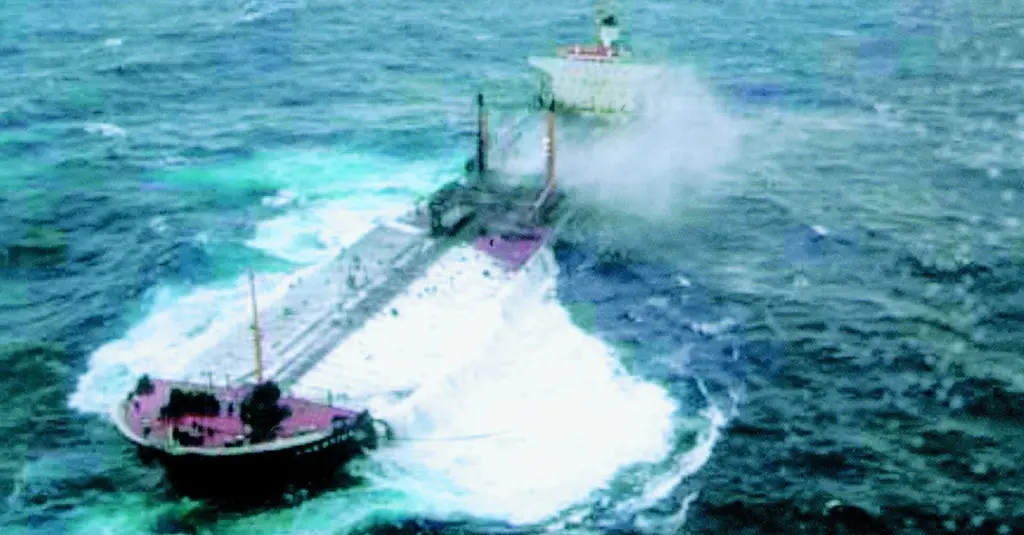 Had the crippled Prestige been towed to a place of refuge the ensuing pollution disaster could have been avoided.