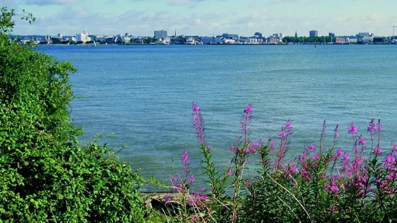 So near and yet so far away. The view to Southampton Docks from the Dibden Bay development site. (Photo: Paul Glendell /English Nature.