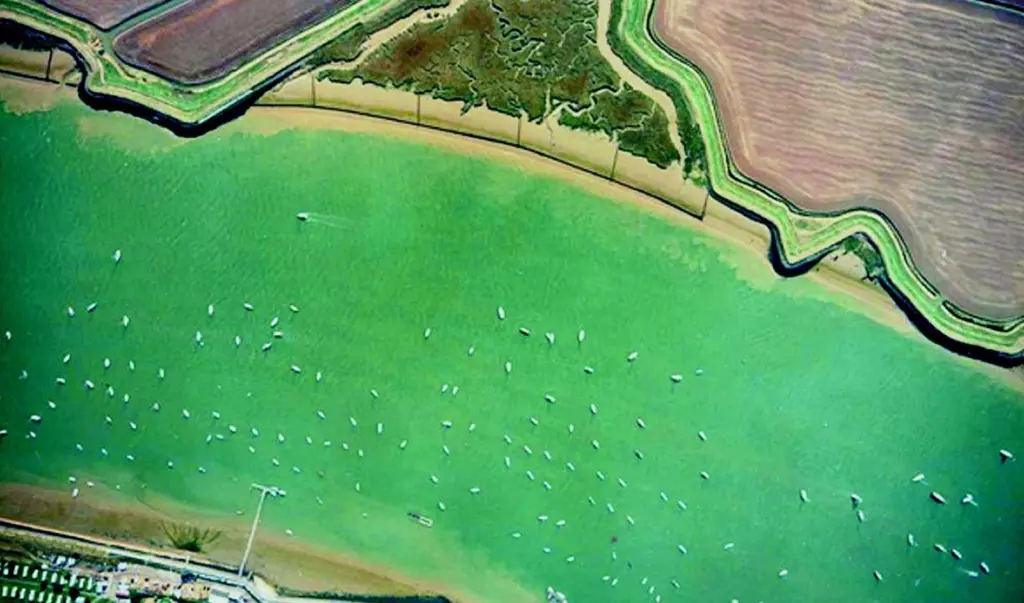 Halcrow is developing a 50 year flood management strategy for the Roach and Crouch estuary.