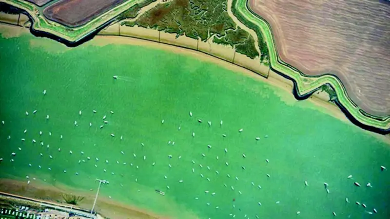Halcrow is developing a 50 year flood management strategy for the Roach and Crouch estuary.