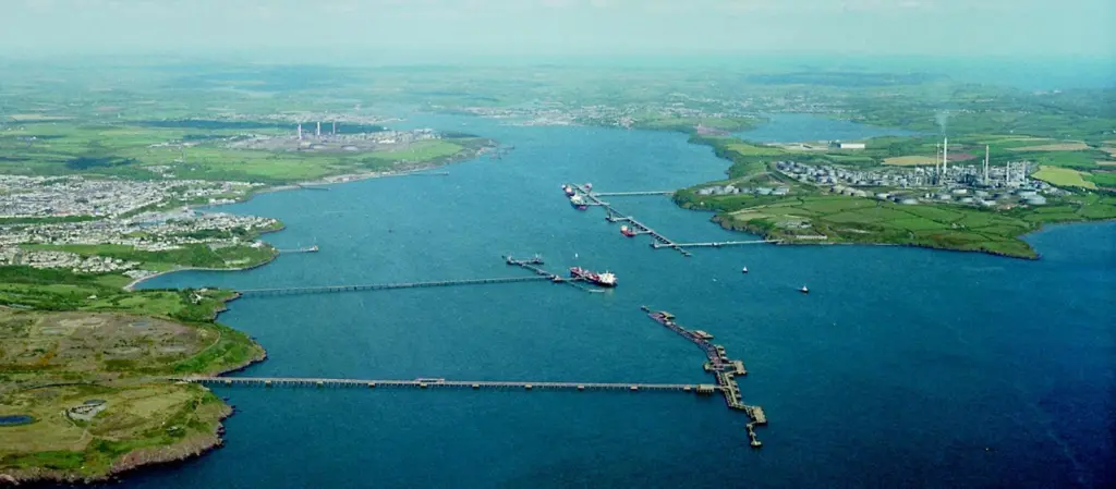 The chief executive officer of Milford Haven Port Authority has called for a better understanding of the needs of ports and the high environmental standards that they work to.