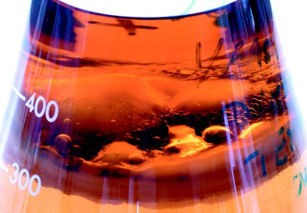 Microbial contamination on diesel fuel. Photo courtesy of ECHA Microbiology Ltd.