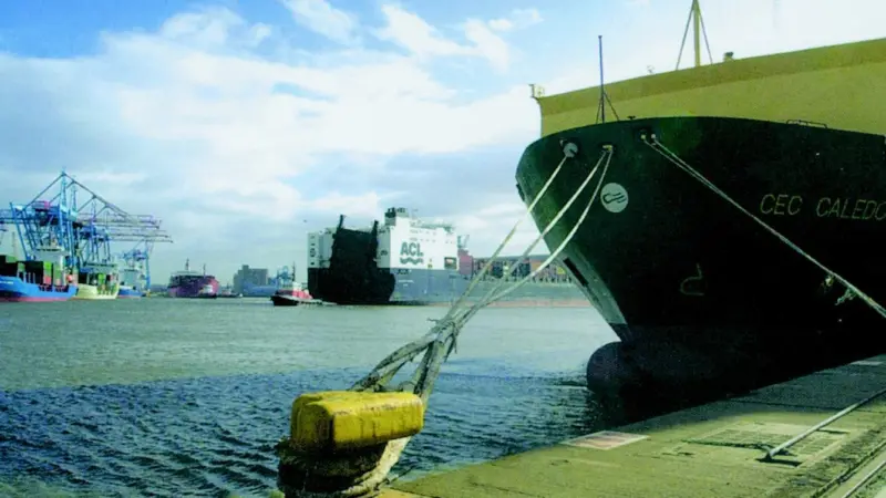 The ITIC Forum was told that seafarers should not be distracted from the primary duty of vessel management and safety.