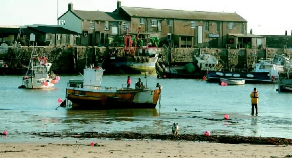 Lyme Regis Harbour UK, where a healthy coast and sea is the lifeblood of the community. Photo by Chris Gibson/English Nature.