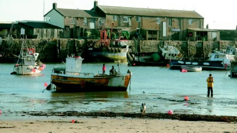 Lyme Regis Harbour UK, where a healthy coast and sea is the lifeblood of the community. Photo by Chris Gibson/English Nature.