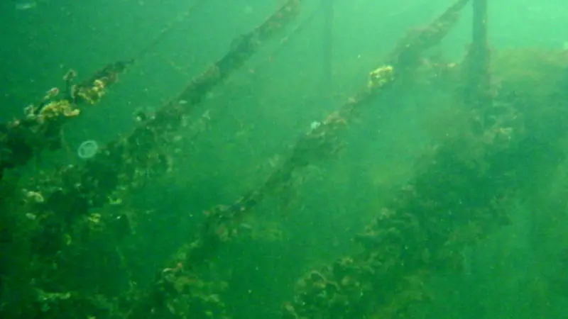 This old dry dock gantry is one of many hazards located by Sub-Surface Engineering divers.