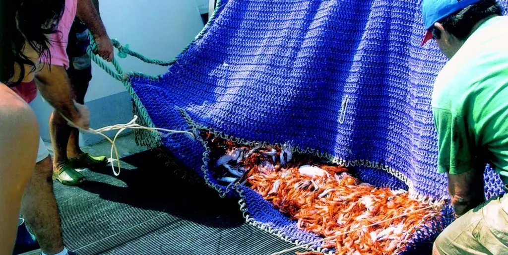 Slip resistant Vynagrip matting in action at sea with Spanish fishermen.