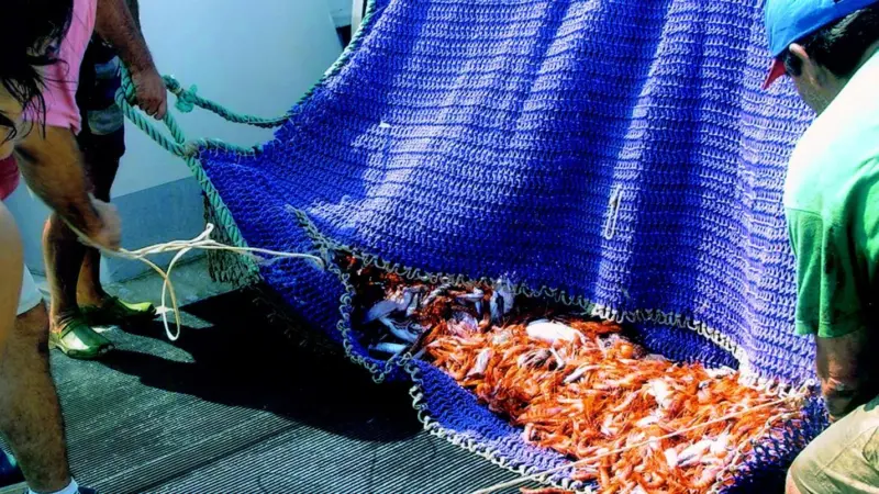 Slip resistant Vynagrip matting in action at sea with Spanish fishermen.