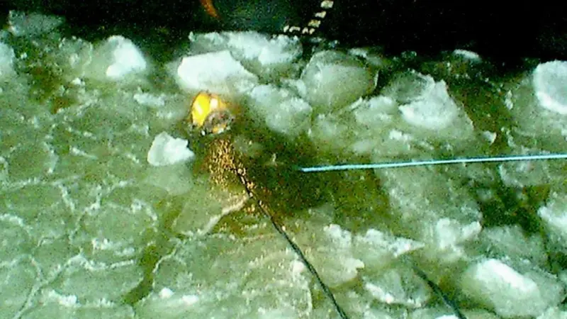 A diver brings up a portion of a cropped blade.