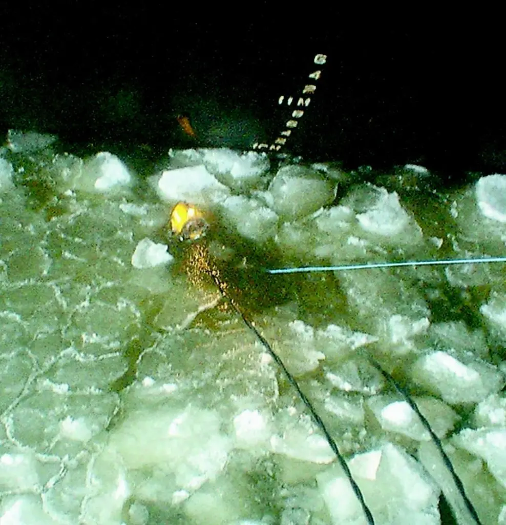 A diver brings up a portion of a cropped blade.