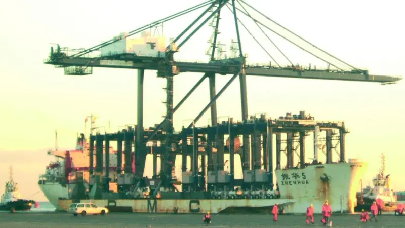 The SSGC and RTGCs represent one large load as they arrive at the Port of Felixstowe from China.