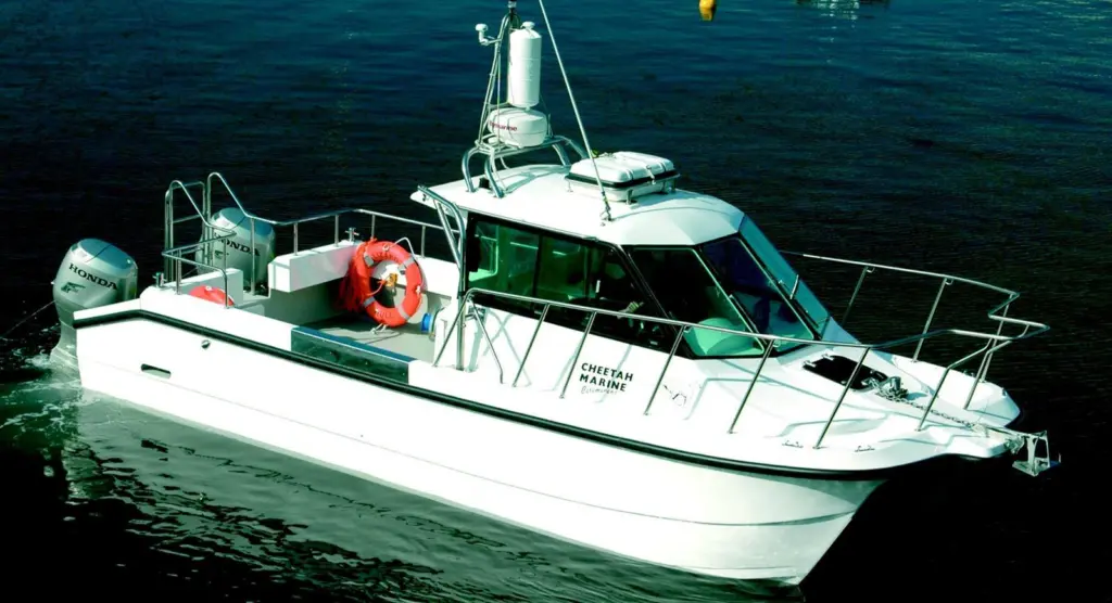 Similar to this Cheetah Catamaran, Merlin will be on the floating pontoon at Seawork 2006.