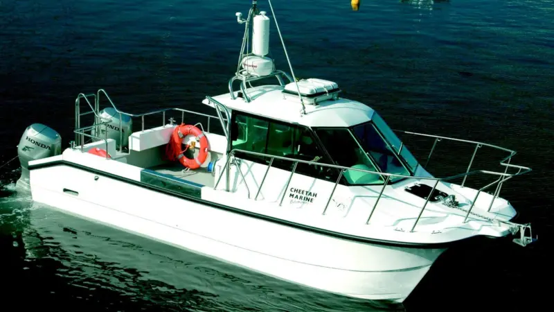 Similar to this Cheetah Catamaran, Merlin will be on the floating pontoon at Seawork 2006.