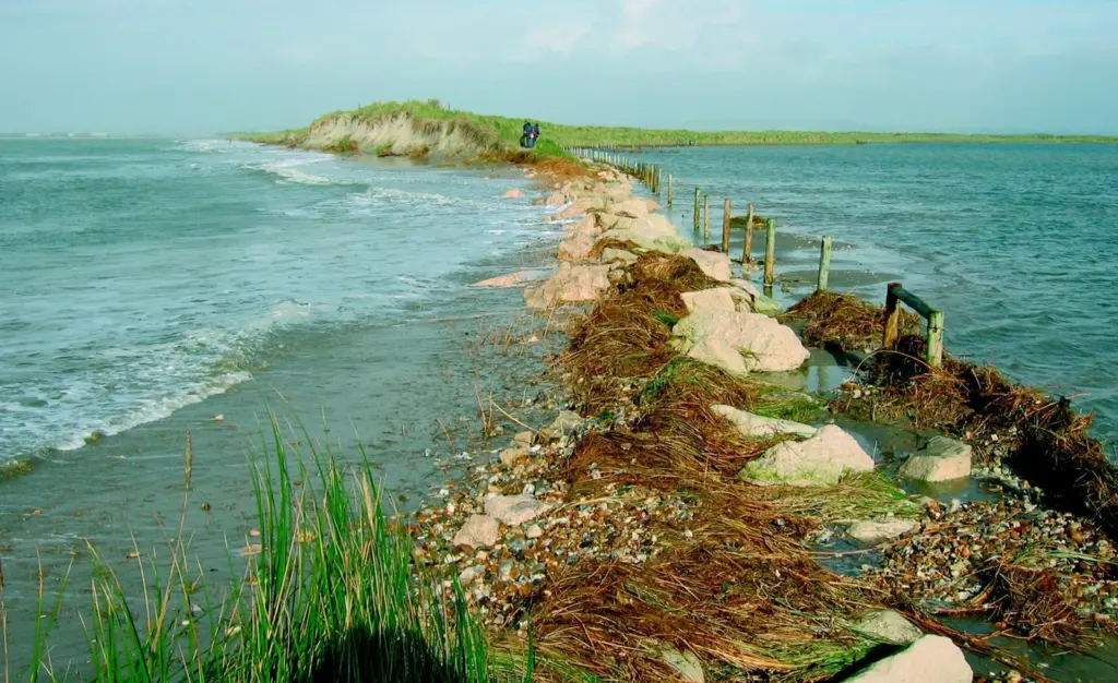 Halcrow is investigating new techniques to deal with coastal erosion.