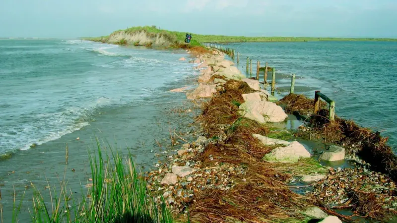 Halcrow is investigating new techniques to deal with coastal erosion.