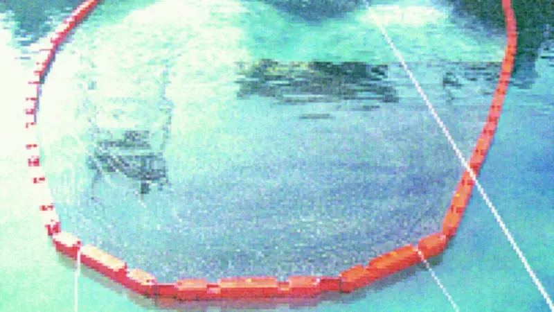 Oil contained in Oil Limiteds rigid boom system during boom performance testing at Ohmsett.