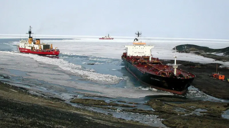 00_42196_MJ_Newsletter_8-5-08_Arctic