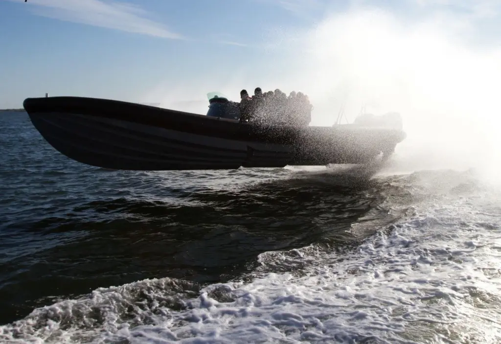 The impact of high speed craft isn’t just on the water.