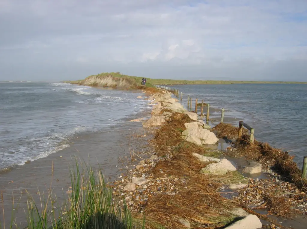 Beaches play an important role either as barriers to coastal flooding and erosion or as part of man-made defences.