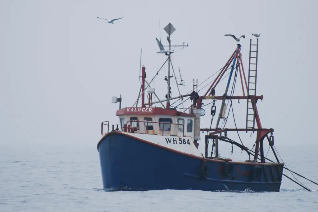 Charting Progress 2 looks in detail at how climate change has increased sea levels and temperatures and what impacts that change is having on the marine environment, including pollution levels.