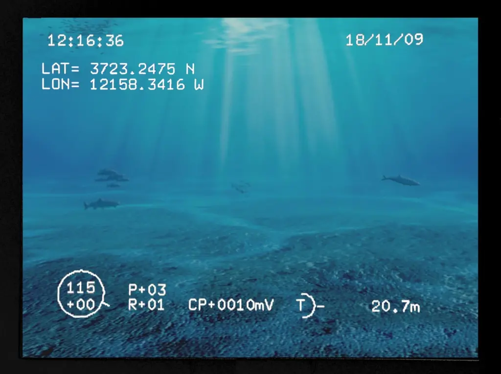 The new flight display feature for the Saab Seaeye Falcon ROV keeps the pilot informed as to compass and depth, vehicle pitch and roll, camera tilt angle, umbilical turns counter, and time and date.