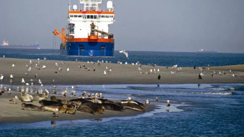 The dredging industry is increasingly confronted by projects involving environmental protection.