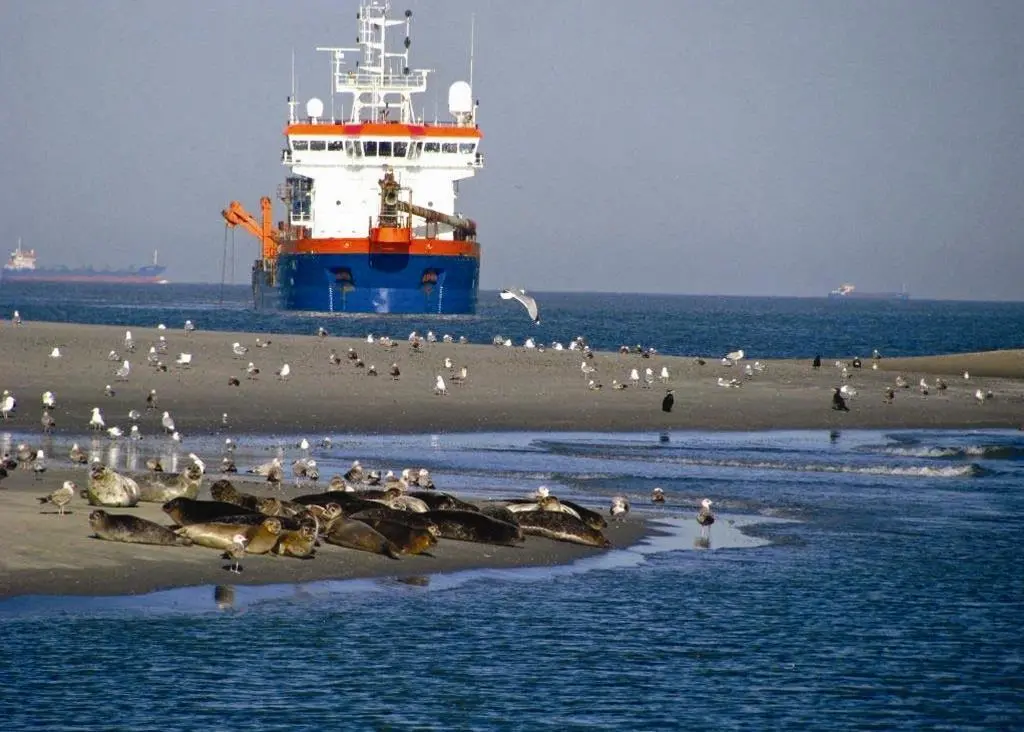 The dredging industry is increasingly confronted by projects involving environmental protection.