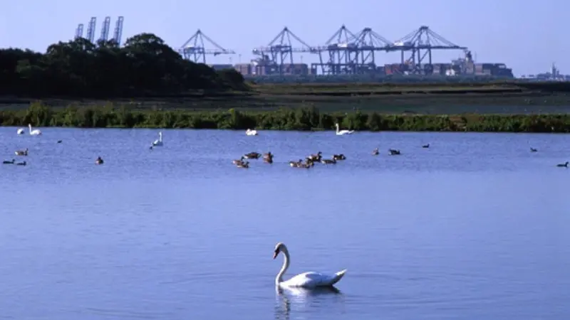 Trimley Marsh Nature Reserve at the UK Port of Felixstowe. Photo courtesy of Port of Felixstowe.