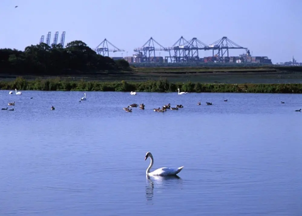 Trimley Marsh Nature Reserve at the UK Port of Felixstowe. Photo courtesy of Port of Felixstowe.