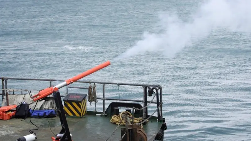 The Buccaneer Launcher can deploy line, netting, or various projectiles to disable approaching pirate craft.