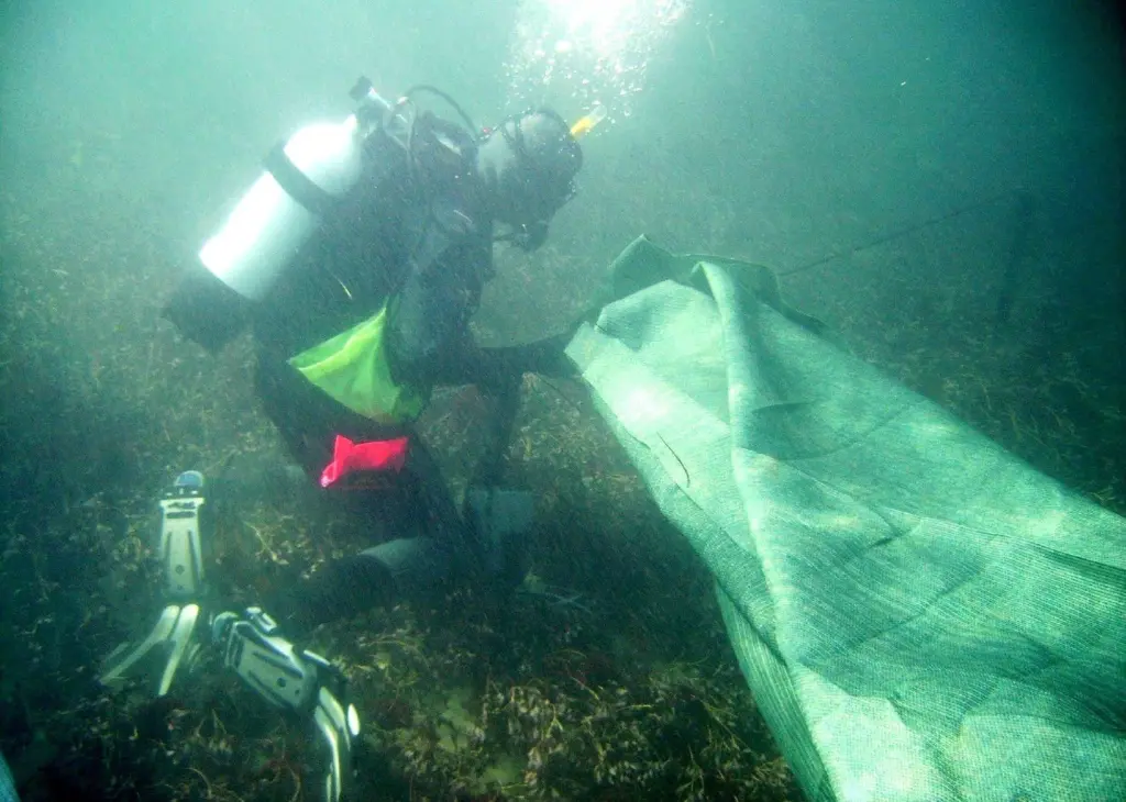 Water and environmental issues were resolved at Melbourne by making use of the contractor’s expertise.