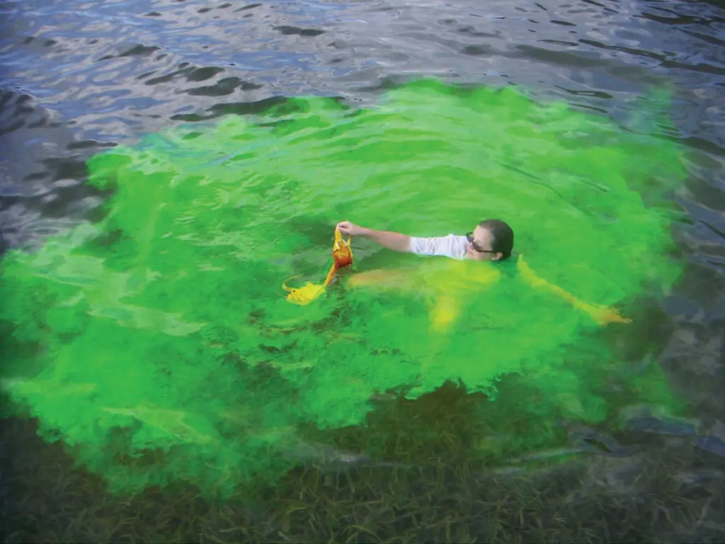 BCB’s shark repellent dye contains a chemical that repels and disorientates sharks.