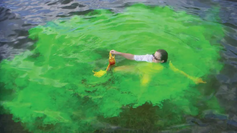 BCB’s shark repellent dye contains a chemical that repels and disorientates sharks.