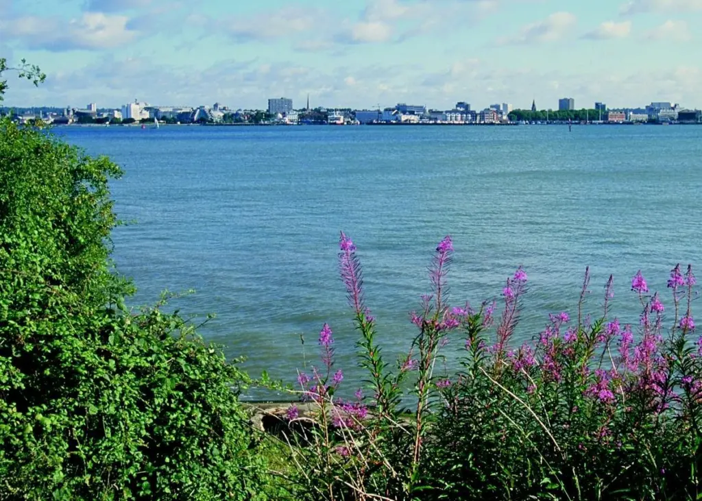 The MMO has also launched an online map of British waters which details a wide range of uses that are currently underway and future developments.