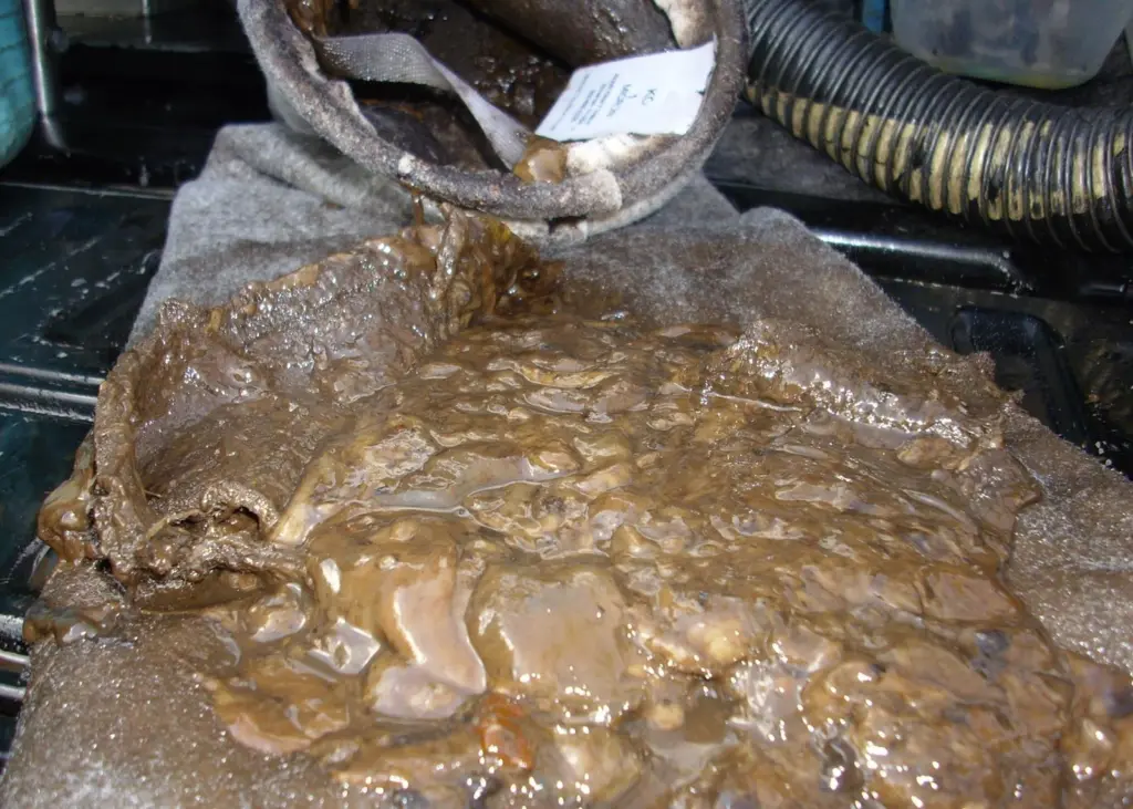 Microbiological contamination (MCB) in the bottom of a fuel tank. Photo courtesy of Eurotank Limited