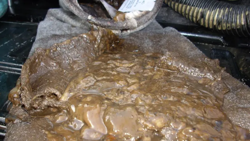Microbiological contamination (MCB) in the bottom of a fuel tank. Photo courtesy of Eurotank Limited