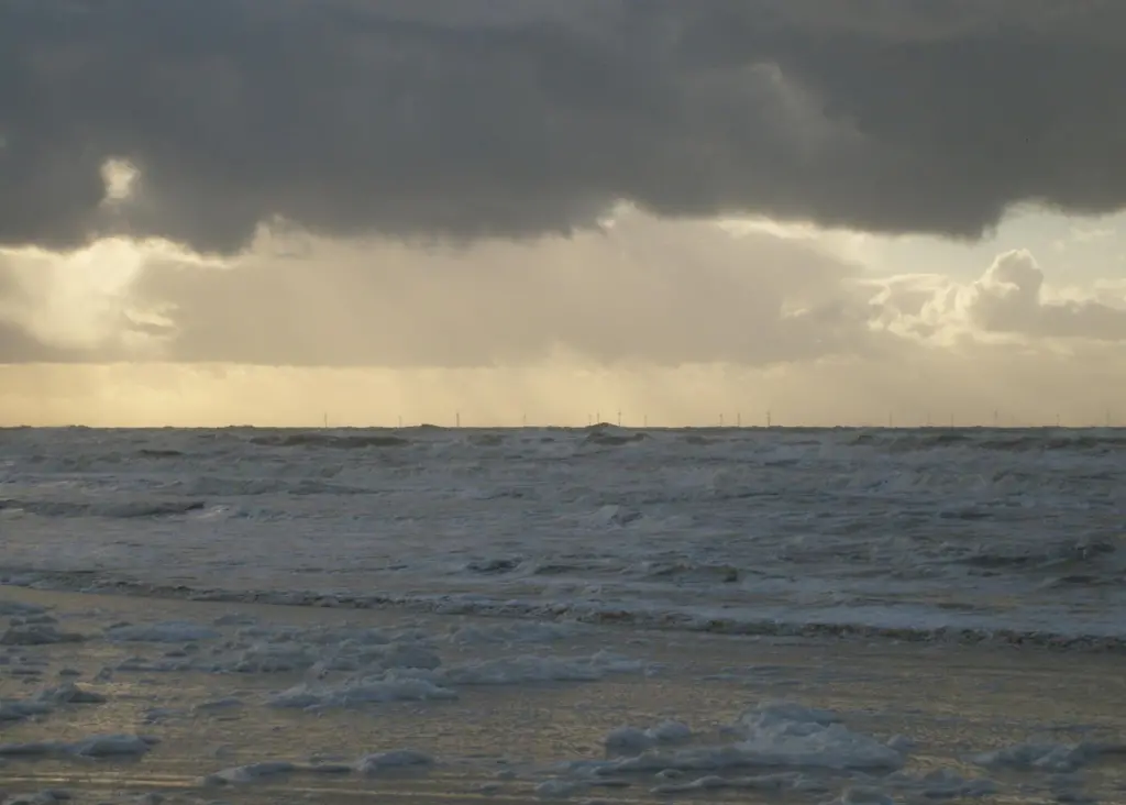 Researchers say that the OWEZ wind farm near Egmond aan Zee in the Netherlands has created a new marine habitat. Photo: Wikimedia Commons