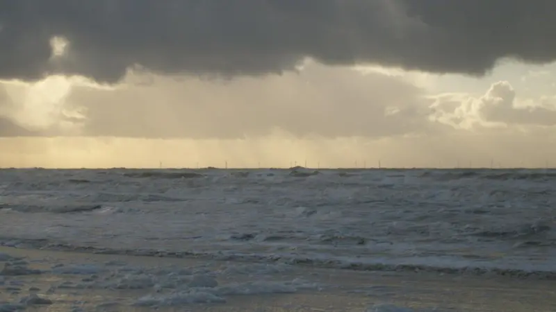 Researchers say that the OWEZ wind farm near Egmond aan Zee in the Netherlands has created a new marine habitat. Photo: Wikimedia Commons