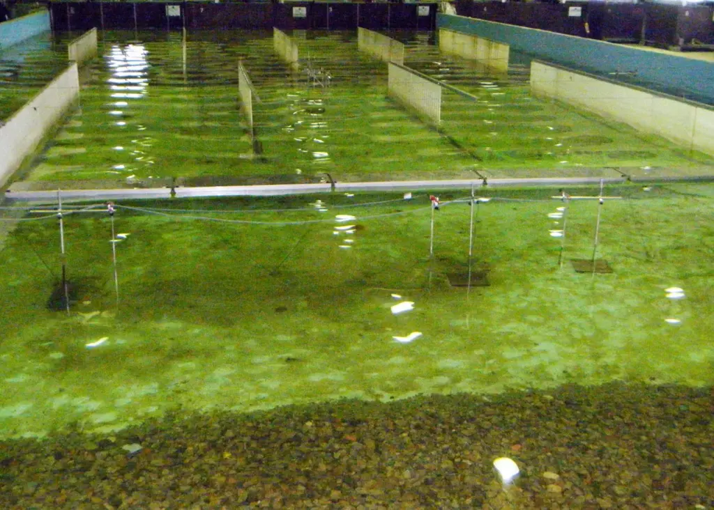 The SF Type 600 concrete breakwater was tested by the Water and Environmental Engineering Research Group at the University of La Coruna in Galicia, Spain.