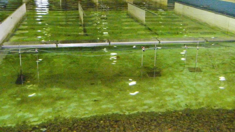 The SF Type 600 concrete breakwater was tested by the Water and Environmental Engineering Research Group at the University of La Coruna in Galicia, Spain.