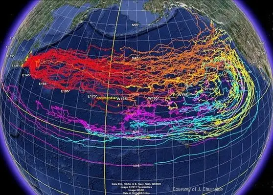 NOAA has predicted possible trajectories for the debris field using OSCURS (Ocean Surface Current Simulator) Year 1 = red; Year 2 = orange; Year 3 = yellow; Year 4 = light blue; Year 5 = violet Photo: Courtesy of J. Churnside, NOAA; created using Google.