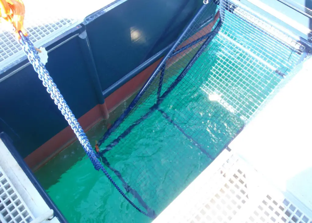 The Pollcat can also recover surface debris by lowering a debris basket which sits below deck and between the hulls.