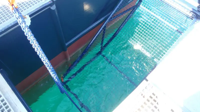 The Pollcat can also recover surface debris by lowering a debris basket which sits below deck and between the hulls.